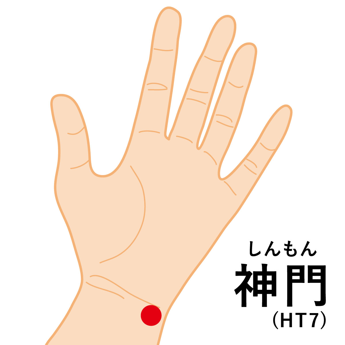 自律神経を整えるツボ5選＆正しい押し方を神戸市の鍼灸接骨院が解説